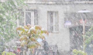 雨水的含义是什么意思