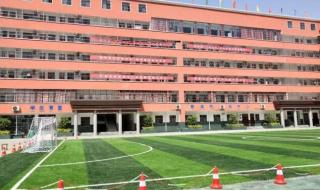 南京艺术学院成绩查询
