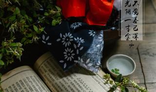 一寸光阴一寸金的作者