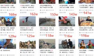 看清楚它是怎么进去的视频
