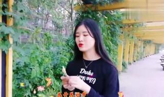 张柏芝演唱酒醉的蝴蝶