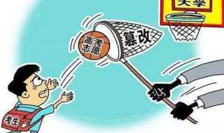 高考查分报志愿时间表