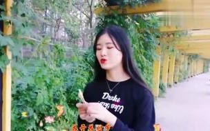酒醉的蝴蝶歌词版张柏芝 张柏芝演唱酒醉的蝴蝶