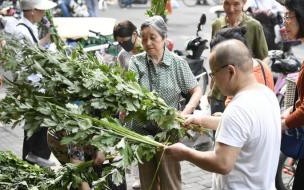 艾叶叶怎么挂在门上 门上挂艾草有什么讲究