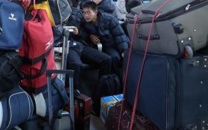 2010年进入春运具体时间是多少 2010年春运什么时候开始