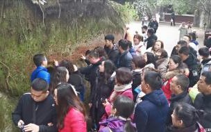 乐山大佛不进景区可以看到吗 景区回应乐山大佛“被卖”